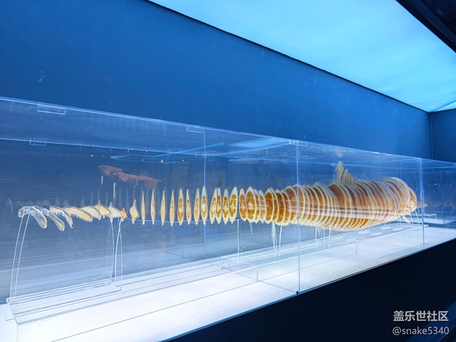 {探索生命奧秘}+生命的奇跡！