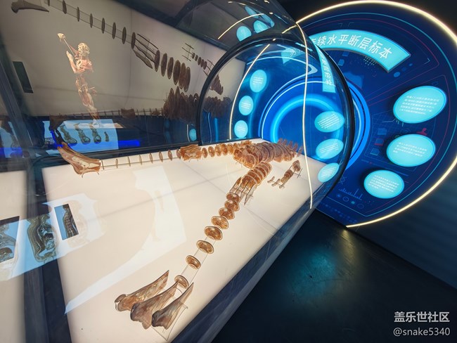 {探索生命奧秘}+生命的奇跡！