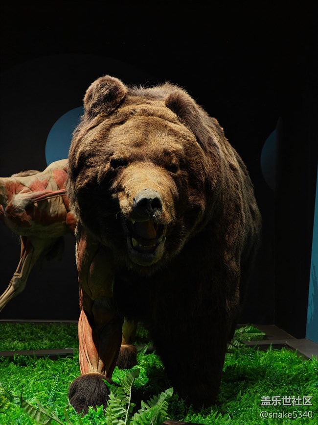 {探索生命奧秘}+生命的奇跡！