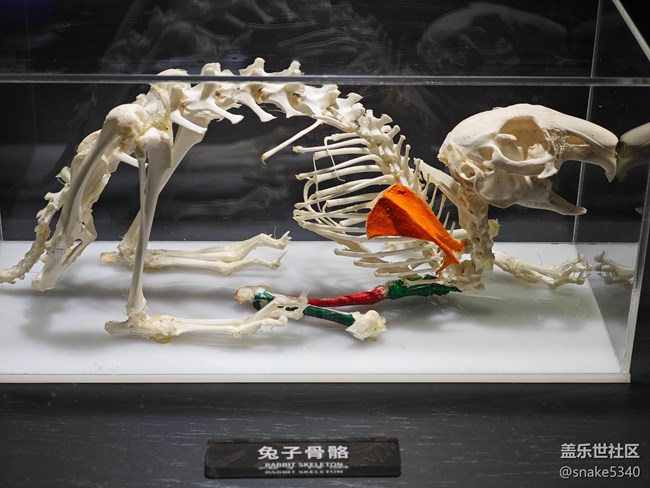 {探索生命奧秘}+生命的奇跡！