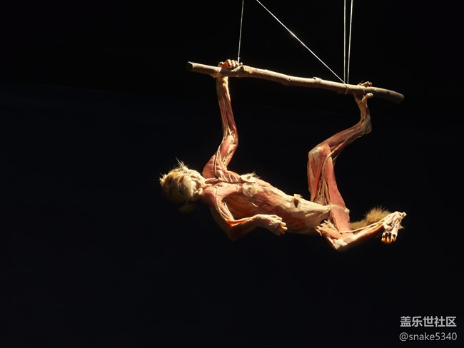 {探索生命奧秘}+生命的奇跡！