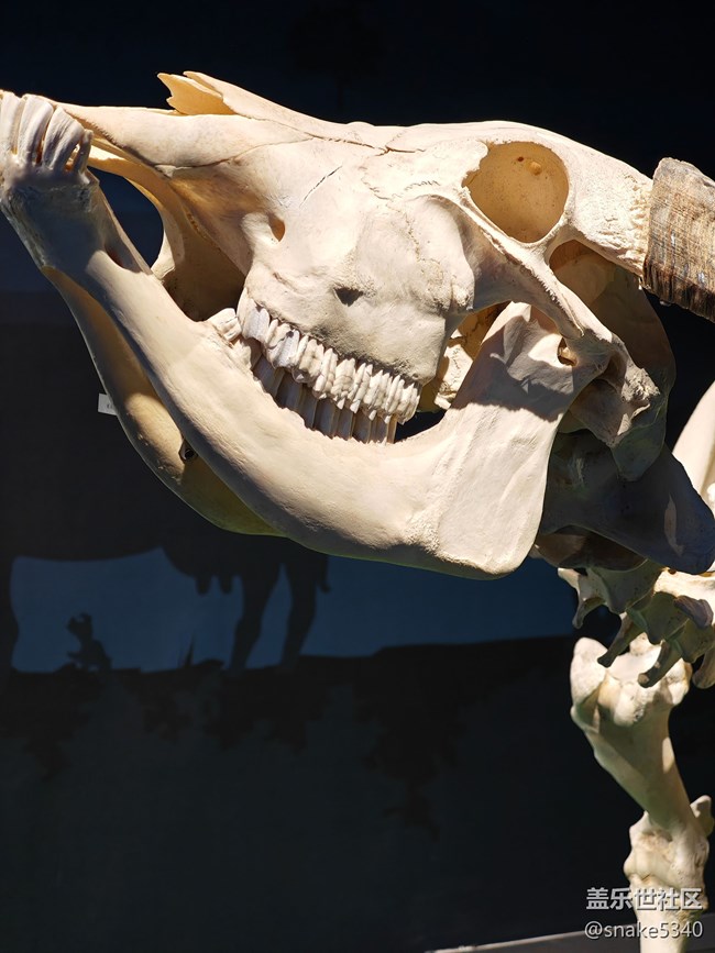 {探索生命奧秘}+生命的奇跡！