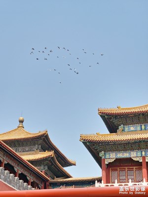北京walk
