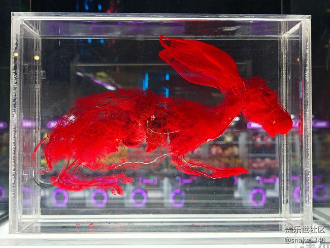 {探索生命奧秘}+生命的奇跡！