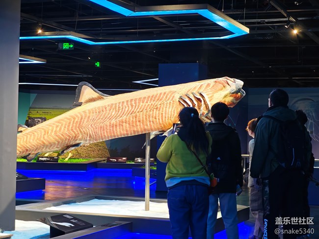 {探索生命奧秘}+生命的奇跡！