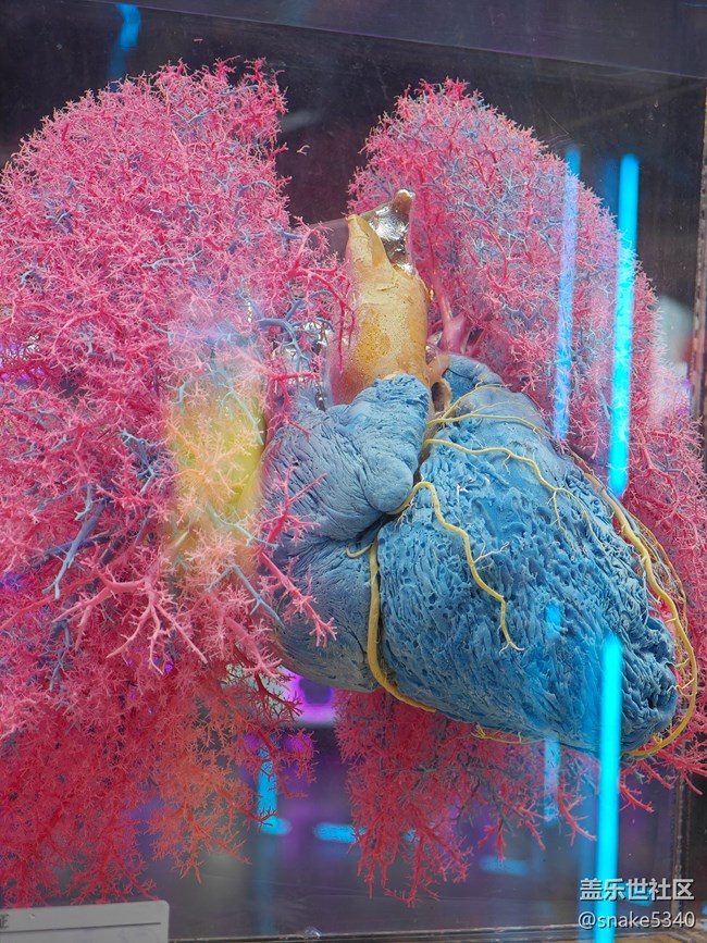 {探索生命奧秘}+生命的奇跡！