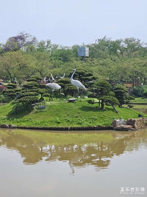 【追光塑影】+?快樂(lè)時(shí)刻