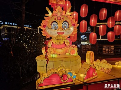 【追光塑影】+追光花燈