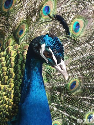 【追光塑影】陽光是最好的濾鏡