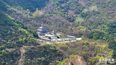 【醉春山】青龍山春色