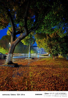 一日風雨，葉落知多少