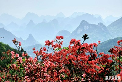 【追光塑影】走進(jìn)春天里