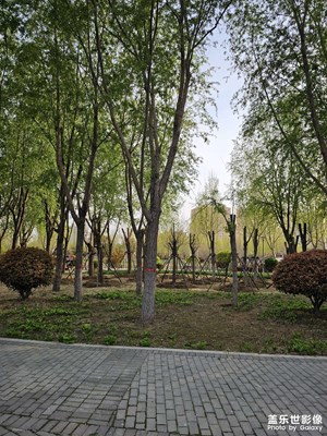 【醉春山】公園美景