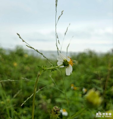 【醉春山】+萬物復(fù)蘇
