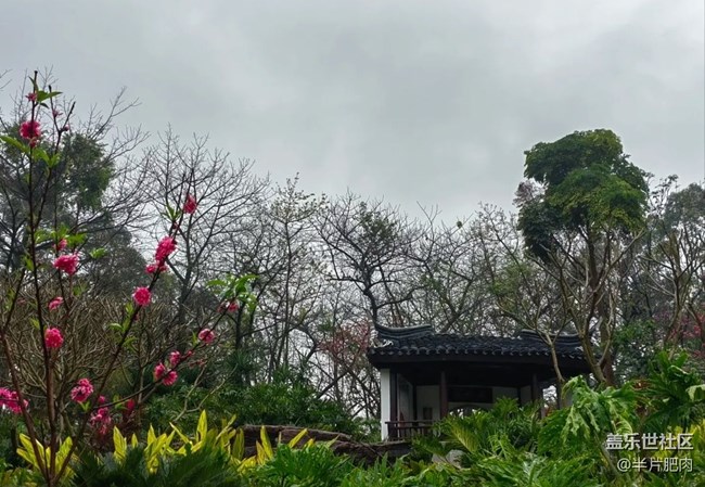 【春日影像诗】雨后公园