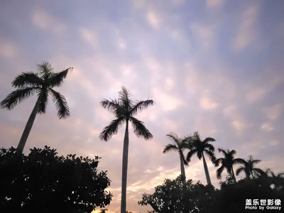 【追光塑影】+?清淺時(shí)光