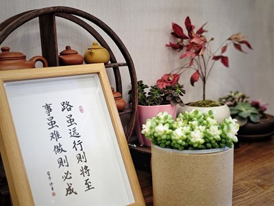 【追光塑影】+一間茶室