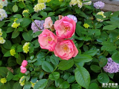 【追光塑影】+自然風景