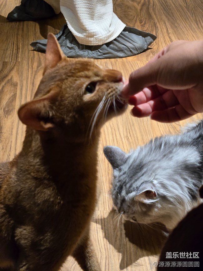 【三星真好拍】武漢星部落四月攝影活動(dòng)總結(jié)帖 【三星真好拍】武漢星部落四月攝影活動(dòng)總結(jié)帖