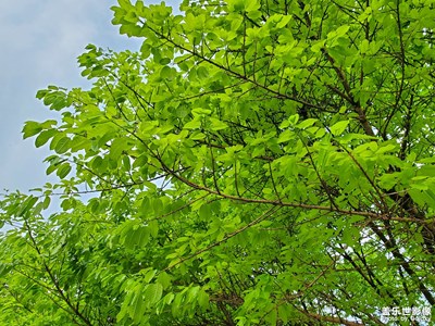 【追光塑影】+光影變化