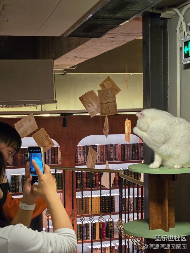 【三星真好拍】武漢星部落四月攝影活動(dòng)總結(jié)帖 【三星真好拍】武漢星部落四月攝影活動(dòng)總結(jié)帖