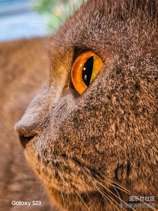 【三星真好拍】武漢星部落四月攝影活動(dòng)總結(jié)帖 【三星真好拍】武漢星部落四月攝影活動(dòng)總結(jié)帖