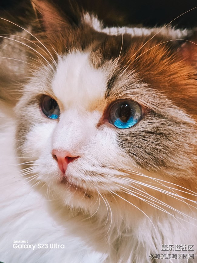 【三星真好拍】武漢星部落四月攝影活動(dòng)總結(jié)帖 【三星真好拍】武漢星部落四月攝影活動(dòng)總結(jié)帖