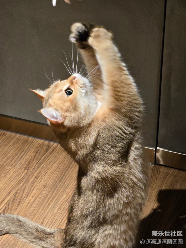 【三星真好拍】武漢星部落四月攝影活動(dòng)總結(jié)帖 【三星真好拍】武漢星部落四月攝影活動(dòng)總結(jié)帖