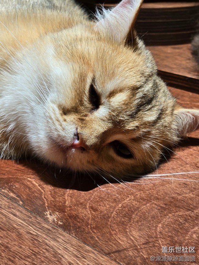 【三星真好拍】武漢星部落四月攝影活動(dòng)總結(jié)帖 【三星真好拍】武漢星部落四月攝影活動(dòng)總結(jié)帖