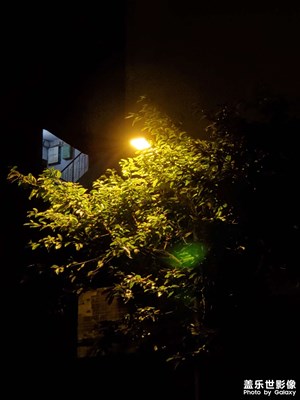 【追光塑影】+ 光影