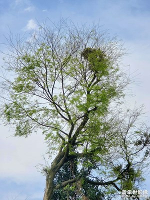 【追光塑影】+ 悠閑時(shí)光