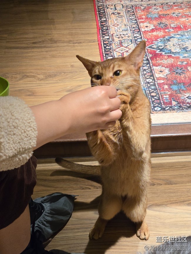 【三星真好拍】武漢星部落四月攝影活動(dòng)總結(jié)帖 【三星真好拍】武漢星部落四月攝影活動(dòng)總結(jié)帖