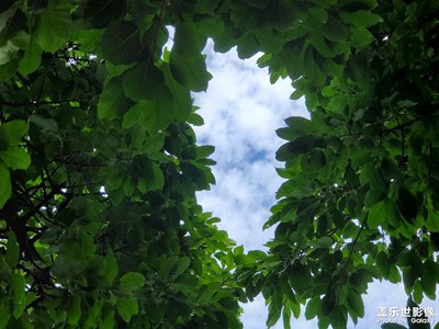 【追光塑影】+相冊里的美景