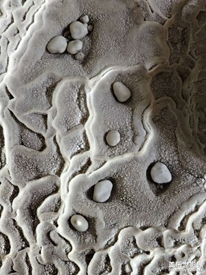 時(shí)間的奇觀