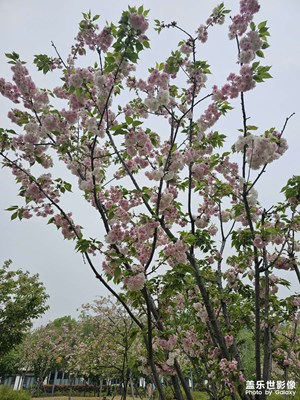 【鏡頭內(nèi)外】+ 景色宜人