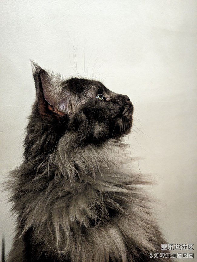 【三星真好拍】武漢星部落四月攝影活動(dòng)總結(jié)帖 【三星真好拍】武漢星部落四月攝影活動(dòng)總結(jié)帖