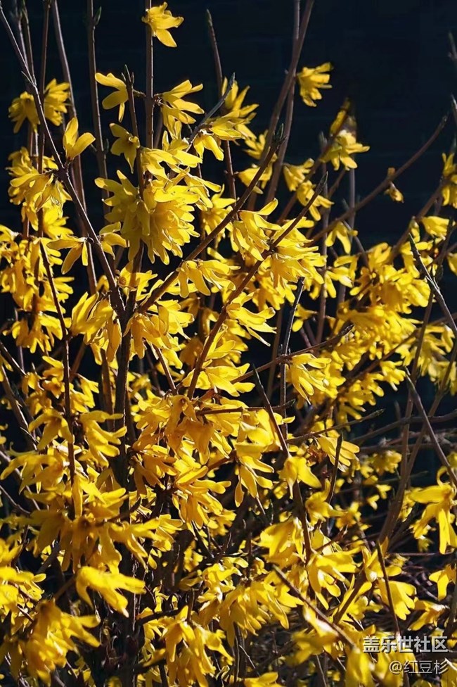 【留白】留個(gè)黑