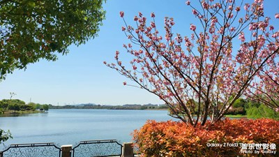 【鏡頭內(nèi)外】+ 皆是美好