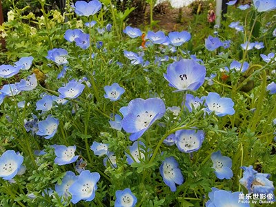 【鏡頭內(nèi)外】+記錄生活