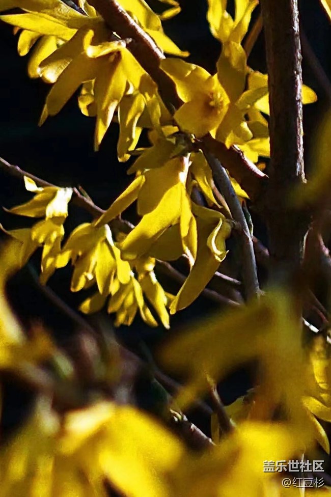 【留白】留個(gè)黑