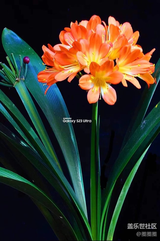 【留白】+ 拍拍盆栽