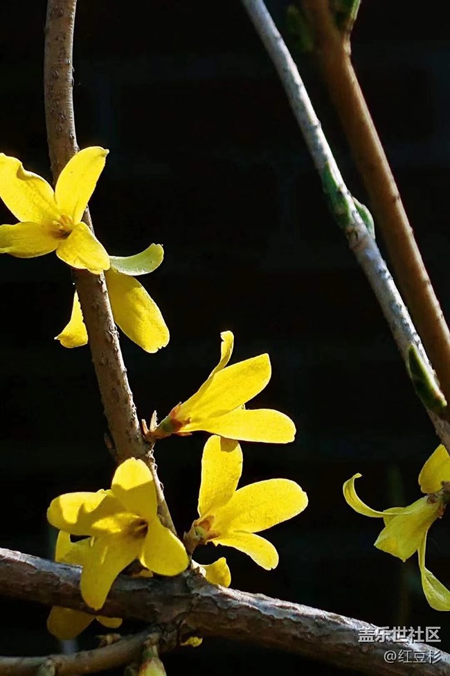 【留白】留個(gè)黑