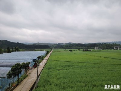 【醉春山】春季踏青