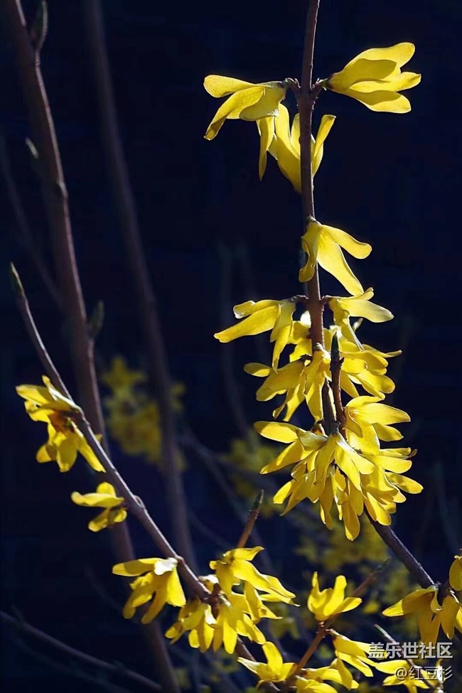 【留白】留個(gè)黑