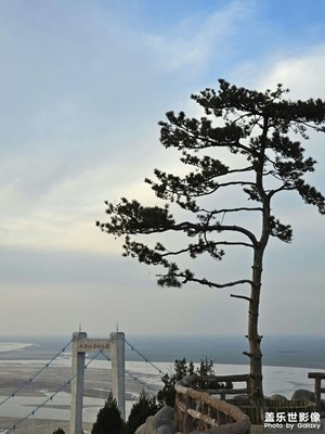 桃花峪黃河大橋