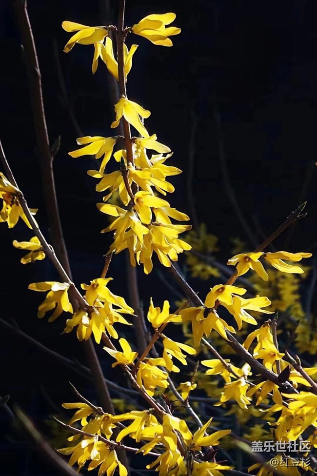 【留白】留個(gè)黑