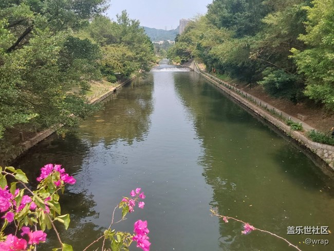 【春天與健康約個會】春日漫步