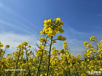 【鏡頭內(nèi)外】+ 風(fēng)景