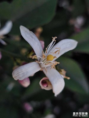 【鏡頭內(nèi)外】+ 隨拍風(fēng)景