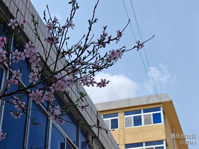 【共赴花期】垃圾堆中的美